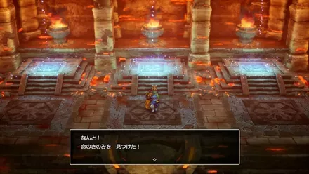 命のきのみの入手の様子