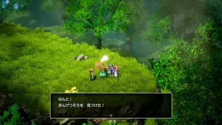 まんげつそうの入手の様子