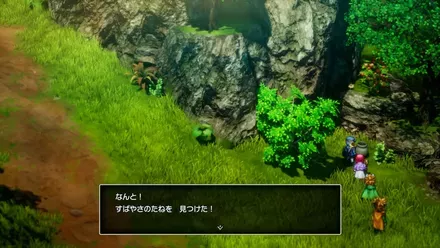 すばやさのたねの入手の様子