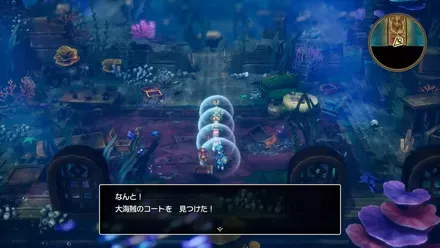 大海賊のコート