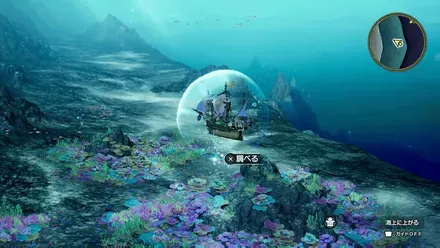 キラキラ84の入手の様子