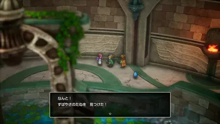 すばやさのたねの入手の様子