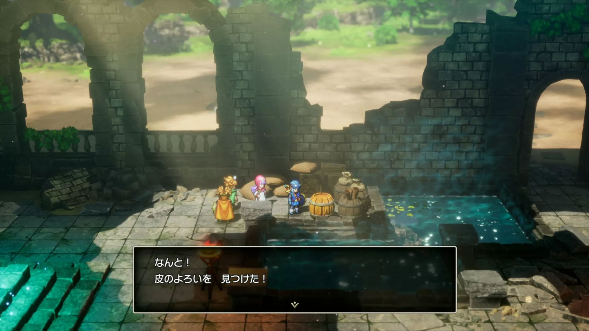 皮のよろいの入手している見た目