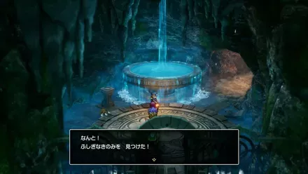 ふしぎなきのみの入手の様子