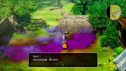 ちからのたねの入手の様子