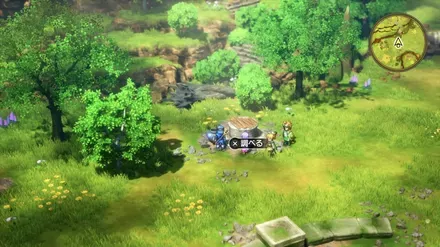 マヌーハそうの入手の様子