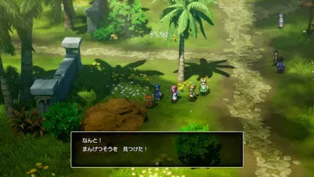 まんげつそうの入手の様子