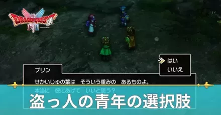 盗っ人の青年の選択肢