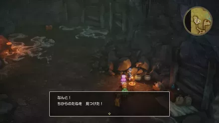 ちからのたねの入手の様子