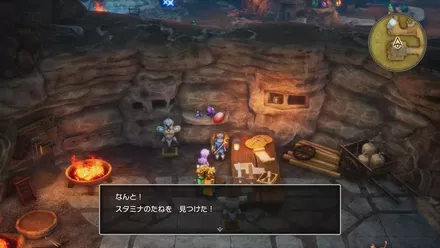 スタミナのたねの入手の様子