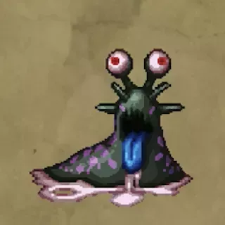 ウバナマコ画像