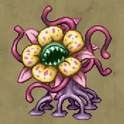 まかいサンゴ画像