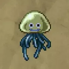 しびれくらげ画像