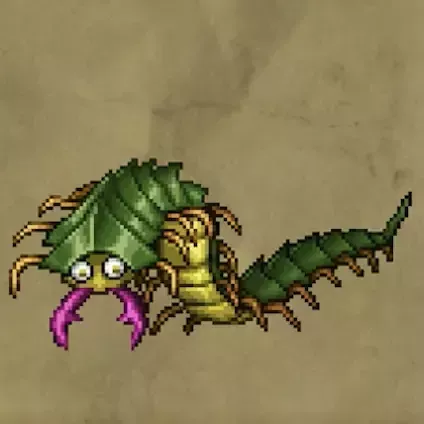 ふねくいイソメ画像