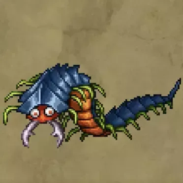 かぶとムカデ画像