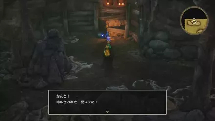 命のきのみの入手の様子