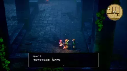 すばやさのたねの入手の様子