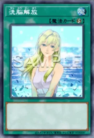 洗脳解放画像