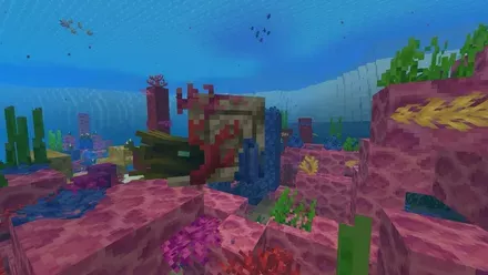 サンゴゾンビオウムガイ