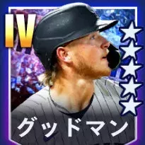 グッドマン画像