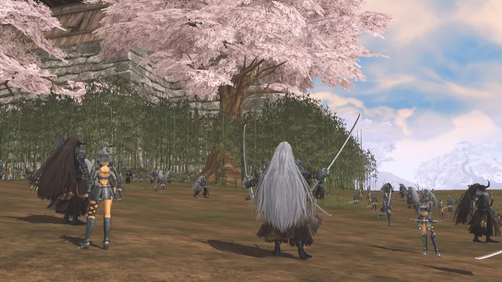 ホロンの竹林の画像