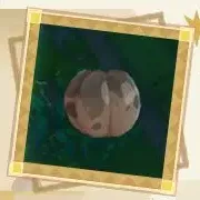 ダーティーフルーツ