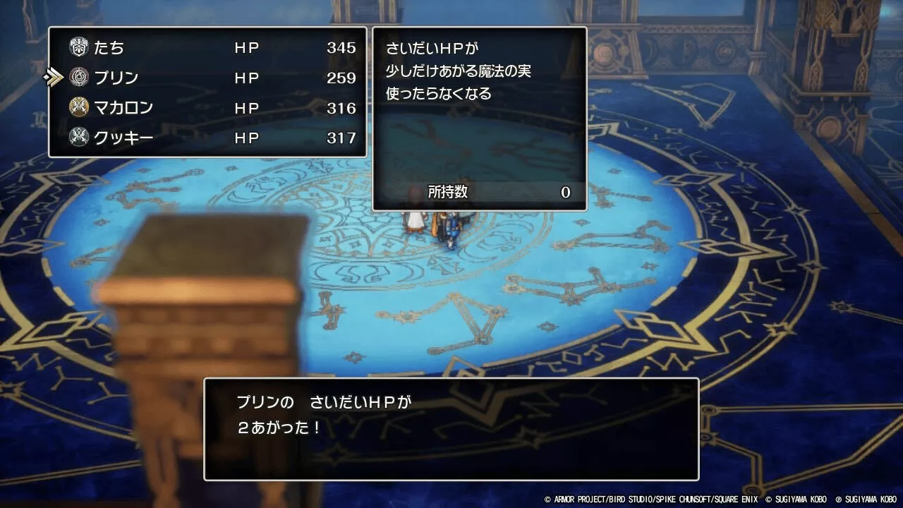 いのちのきのみ