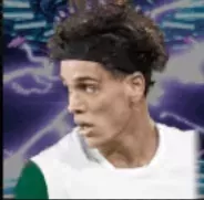 HPエクトルフォルト画像