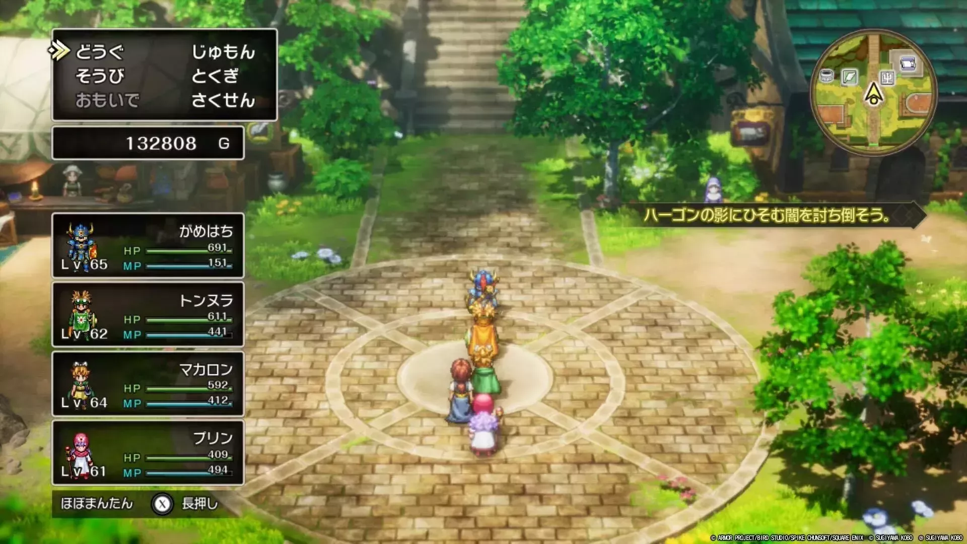 いぬのはな使用前