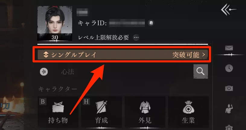 シングルプレイレベル