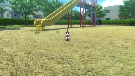 16猫とのバトル