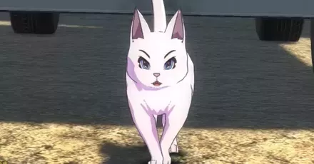 白山くんを探せ画像