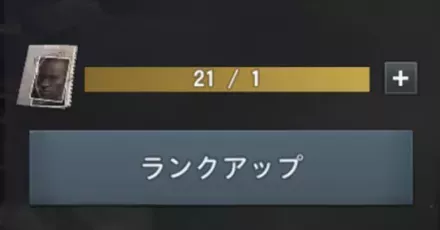 ランクアップやり方