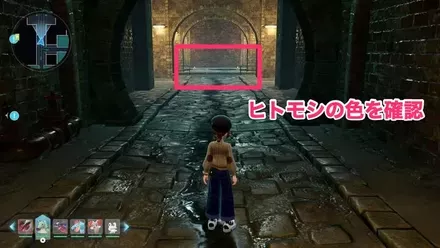 ヒトモシの色を確認