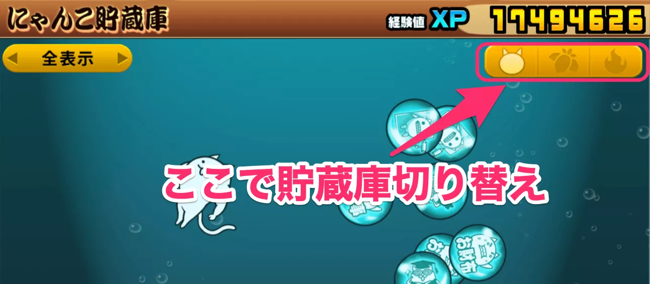 にゃんこ貯蔵庫