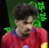 TPヴィティーニャ(11/13)画像