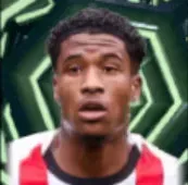 HPライアンフラミンゴ(11/13)画像