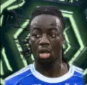 HPアスマエル・ドゥクレ(11/13)画像