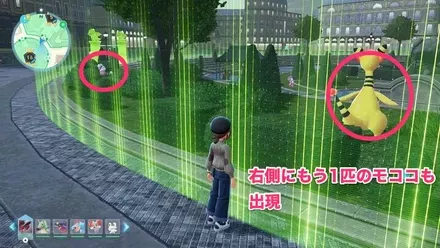 デンリュウ・モココの色を確認