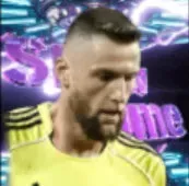 STミラン・シュクリニアル(11/13)の画像