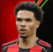 HPナムディコリンズ(11/13)画像