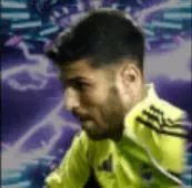 HPマルコアセンシオ(11/13)画像