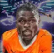 HPフェスティエボセレ(11/13)画像