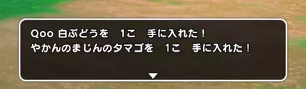 地図クリアでやかんのまじんのタマゴを入手