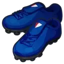 イナズマレジェンドJシューズ画像