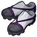 白鹿組シューズ画像