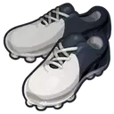 伊那国雷門シューズ画像