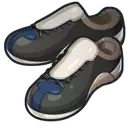 カオスシューズ画像