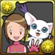 八神ヒカリ＆テイルモン（02）の画像