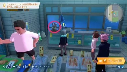 魚好きの招き猫の場所画像